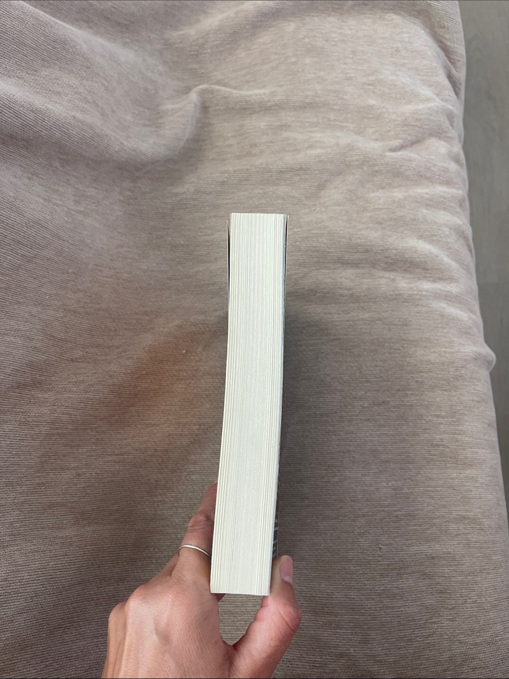 Circe by Madeline Miller — Black & Gold Paperback - Picture 3 of 3